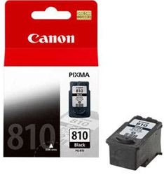 Canon PG-810 Genuine Black Ink Cartridge (PG-810) (4631187030101)